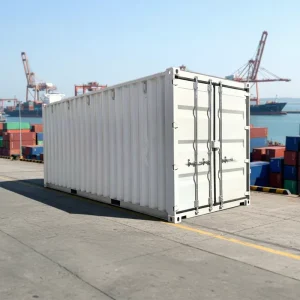 New 20 GP Dry Shipping Container 33CBM Capacity From Guangdong