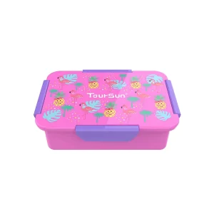 New Design Bento Lunch Box for Adults and Children Rectangle Custom Kids Bento Box
