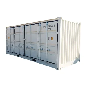 New Listing Custom Logo Dry Cargo 20gp Standard Storage Shipping Container with Side Open