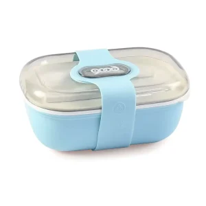 New Style High Quality Plastic Lunch Box with Fork Shaped Spoon Chopsticks 2 Compartment Single Use Food Storage