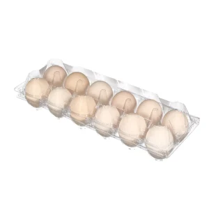 Plastic 12 Cells in 2*6 Jumbo Chicken Eggs Carton in a Dozen Recyclable for Duck Eggs Packaging