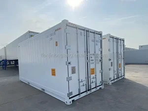Polyurethane PU Foam Insulation New 20ft 20 Feet Insulated Reefer Shipping Container