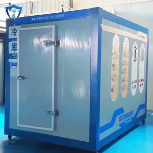 Portable Integrated Container Cold Room Rapid Freezing Equipment With Soundproof Panel and Reliable Temperature Performance