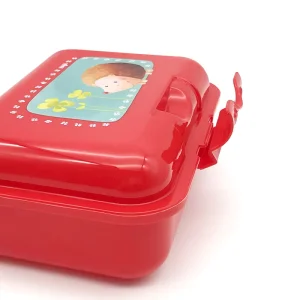 Portable Rectangular Lunch Box Storage Food Container with Carton Packing