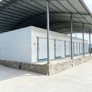 Prefabricated Modular Cold Room Basement Storage with Container Design Easy Operate Energy Saving IoT Technology