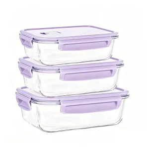 Rectangular Glass Lunch Box With Heat-resistant Separator for Food Storage and Organization