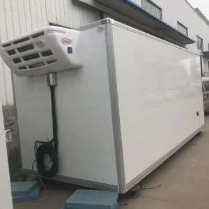 Reefer Box Refrigarated Truck Body Freeze Container