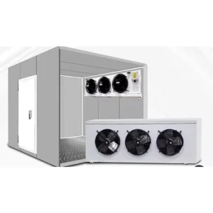 Reefer Container Cold Storage Room Freezer Room
