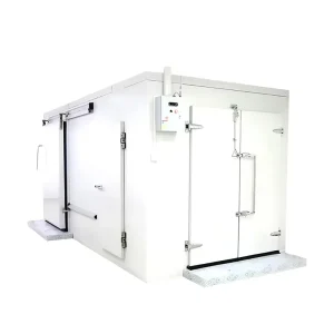 Refrigerated Freezer 20FT 40FT Reefer Container Cold Room Walk In Cooler Refrigeration Unit Cold Camera