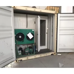 Rural Plantation Solar Container Cold Storage 40FT Retrofitted Container 10℃ to -18℃ Dual Mode Cooling for Farm Goods