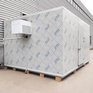 SANYE Price Refrigeration Container Walking Cooler Cold Room Storage Walk In Freezers