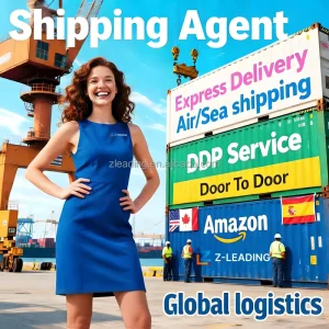 Sea Cargo Shipping Agent FBA Denmark Fredericia Ocean Logistics Customs Clearance Door to Freight Service