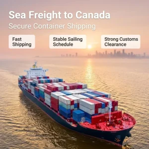 Sea Freight Shipping Agent FBA Estonia Lennart Meri Tallinn Logistics Customs Clearance Door to Cargo Transport DDP