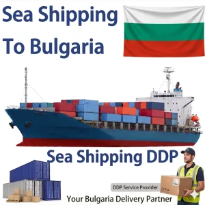 Shipper China Freight Forwarder Open Side Door Containers Sea Freight Shipping to European Ports China Sea Shipping