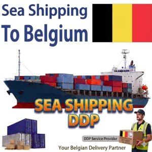 Shipper Open Side Door Shipping Container Sea Shipping for Sale 20GP 40HQ Multi-Modal Breakbulk Car Loading Shipping Agent