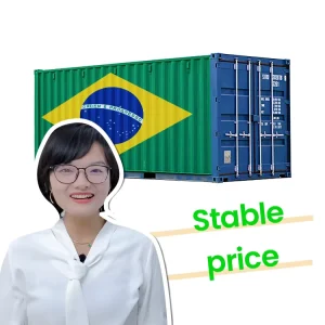 Shipping Container 40ft LCL Sea Freight Forwarder China to Brazil Door to Door DDP Competitive Pricing 24/7 Support
