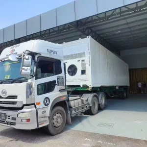 Smart CA Durian Reefer Container for Sea and Land Transport Precise Temp Humidity Gas Control Extend Shelf Life