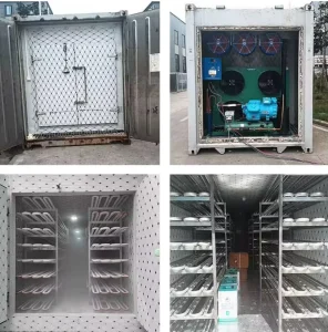 Solar Grid Dual Power Container Cold Storage 20FT 40FT Custom Door for Remote Farms Difficult to Access Municipal Power