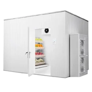 Solar Powered Cold Storage Container Seafood Freezer Room with Engine Motor Gear Gearbox Bearing for Manufacturing Plants