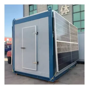 Solar Powered Energy Saving Mobile Cold Storage Container Walk in Freezer With Engine Cold Fish Fruit Vegetable Onion Chicken