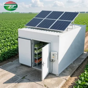 Solar Powered Mobile Refrigerator New Energy Cold Storage for Fruits Vegetables Frozen Chicken