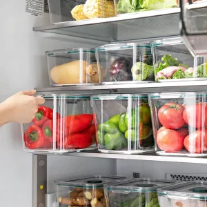 Transparent Lockable Plastic Food Kitchen Fridge Storage Box