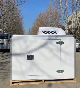 Tricycle Motorcycle Refrigerated Frozen Freezer for Cold Chain Delivery Ice Cream and Food Storage