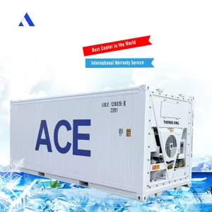 US Brand Thermo King Refrigerated Cooler 20ft 6 Meter Length Freezer 20ft Reefer Container Cold Storage For Sale