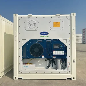 Ultra Low Temperature Container Freezer Cold Room Container Freezer 20ft Reefer Shipping Container For Sale