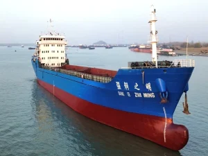Used Open top Steel Container Ship with 1000 TEU Capacity