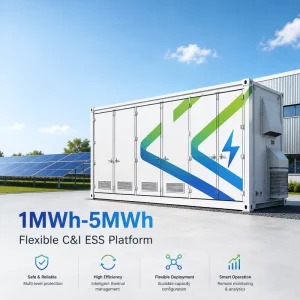 Utility Scale 1MWh 2.5MWh 3.85MWh 5MWh BESS Container LiFePO4 Solar Wind Energy Storage Peak Shaving Microgrid OEM Factory