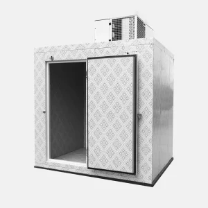Walk Into Containerized Air conditioned Cold Storage Room Equipped with Roof Mounted Mono Block Refrigeration Unit