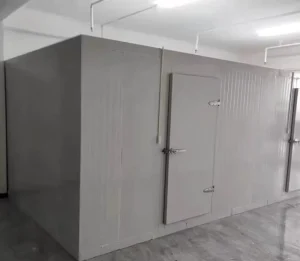 Walk in Refrigerated Freezer 20ft 40ft Reefer Container Medical Cold Room for Sale