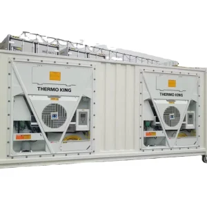 Industrial Forced-Air Blast-F freezing Container for Frozen Products, Refrigerated Container for Fast Ocean Shipping